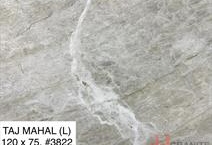 Taj Mahal (L)