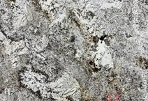 Bianco Speranza